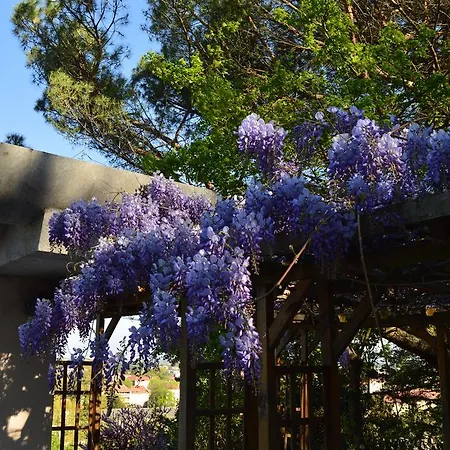 Bed & Breakfast Casa Marta : Suites, Terrasses Et Vue Panoramique Tournon-sur-Rhone